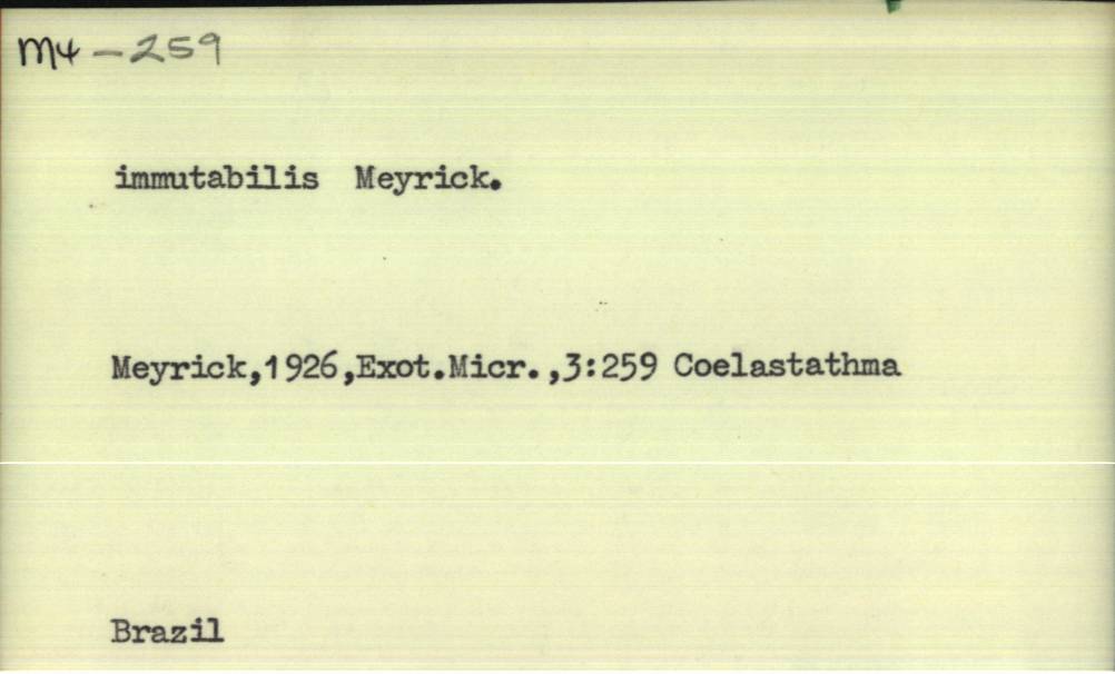 front of card